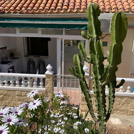La Siesta Apartment Benidorm Luaran gambar